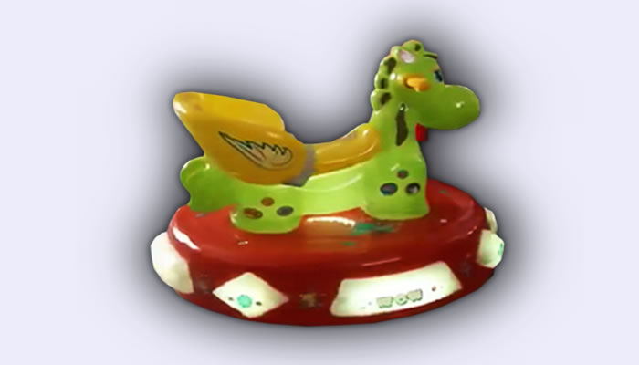 Dolphin Ride
